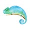 Blue Iguana watercolor painting vector illustration