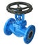 Blue industrial valve