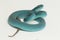 Blue Insularis Trimeresurus Insularis White-lipped Island Pit Viper on white background