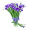 Blue irise flowers in glass vase