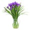 Blue irise flowers in vase