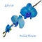 Blue isolated orchid flower