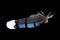 Blue jay feather