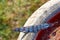 Blue Jay Feather Left on Stone Birdbath