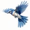 Blue Jay In Flight: Precisionist Art Illustration
