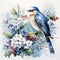 Blue Jay Nestled Among The Holly Leaves Laden With Scarlet Berries