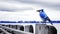Blue Jay On Old Pier: A Captivating Snapshot Of Nature\\\'s Beauty