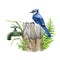 Blue jay perched on a verdurous garden vintage style water tap with wooden base. Watercolor illustration. Hand drawn