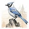 Blue Jay On Rock: Detailed Line Art Illustration With Subtle Irony