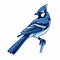 Blue Jay Symbol: Monochromatic Graphic Design Inspired By Justin Gaffrey