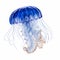 blue jellyfish isolated on the white background. Jellyfish floating in the water. generative ai