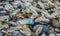 Blue jellyfish VELELLA sp., taken ashore by storm, on the shores of the Pacific Ocean in Olympic National Park, Washington