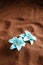 Blue jewellery flowers