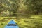 Blue kayak in Danube delta over water surface full of green algae. Summer landscape.