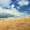 Blue kite flying in distance high over hill in yellow grass field.