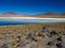 Blue lagoon of Altiplano in Bolivia