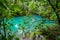 The blue lagoon and trees - Rio Celeste Views around Costa Rica