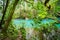 The blue lagoon and trees - Rio Celeste Views around Costa Rica