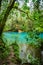 The blue lagoon and trees - Rio Celeste Views around Costa Rica