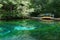 Blue lake, trees, bridge