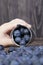 blue large blueberries