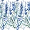 Blue lavender floral botanical flowers. Watercolor background illustration set. Seamless background pattern.