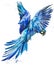 Blue lear macaw. tropical bird watercolor illustration. Blue parrot flying. Brazilian wildlife fauna.