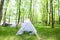 Blue little tent in forest.