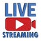 Blue live streaming. Online stream sign. Internet broadcast. Webinar vector template. Live webinar button. Stock image