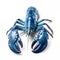 Blue lobster isolated on white background