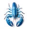 Blue lobster isolated on white background