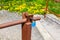 Blue lock on old rusty car ramp, with blurred yellow dandelions