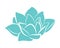 Blue lotus water flower lily vector