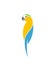 Blue macaw parrot. Logo