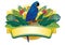 Blue macaw tropical design