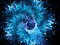 Blue magical wormhole fractal