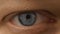 Blue male eye looking at the camera. Macro, eye with eyelashes and eyelid blinks, human