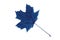 Blue maple leaf on a white background, isolate