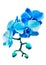 Blue meadow flowers pixel art