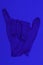 Blue medical glove on a blue background the thumb and little finger are protruding