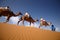 Blue men and Camel caravan going through the sand dunes in the S