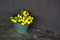 Blue metallic basin with yellow tulips.