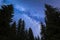 Blue Milky way falling stars pine trees silhouette