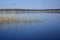 The blue mirrored surface of the lake`s water reflects the stems of the grass standing near the shore. A place to relax