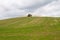 Blue modern tractor pulling a crop sprayer on a hill