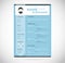 Blue modern vertical minimalistic personal vector resume - cv template