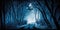 Blue monochrome color haunted path in dark forest