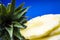 Blue monophonic background. The fresh cut pineapple on round segments. Green leaves. Tropical fruit. Vitamins and health.