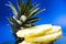 Blue monophonic background. The fresh cut pineapple on round segments. Green leaves. Tropical fruit. Vitamins and health.