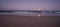 Blue Moon Rising over the Ocean with Surf and Sand